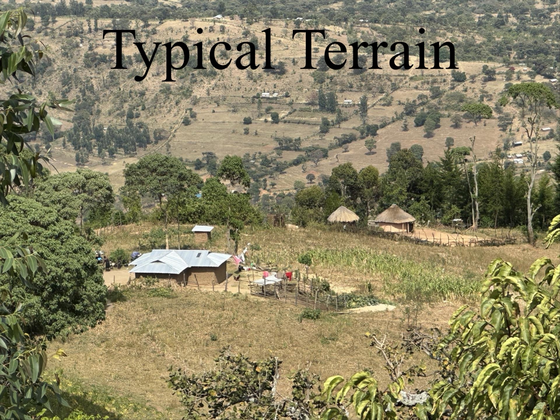 Typical Terrain